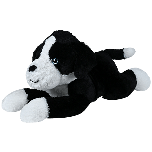 dog-pound-black-white