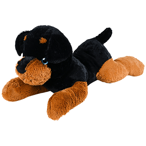 dog-pound-brown-black